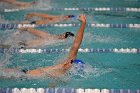 Swim vs Bentley  Wheaton College Swimming & Diving vs Bentley University. - Photo by Keith Nordstrom : Wheaton, Swimming & Diving